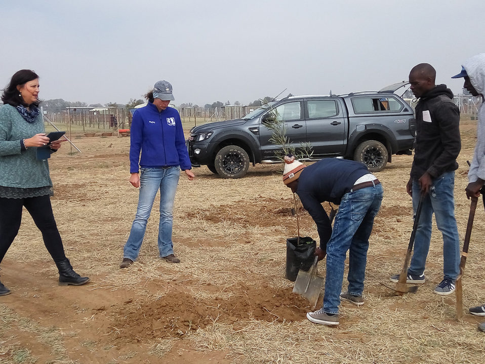 300 trees will be planted at the Vaalpets Dog Park an animal shelter in Vanderbijlpark.
